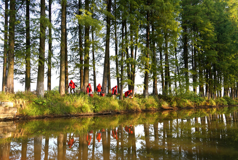 绿水  青山  河流  河长制 湖长制
美丽家园