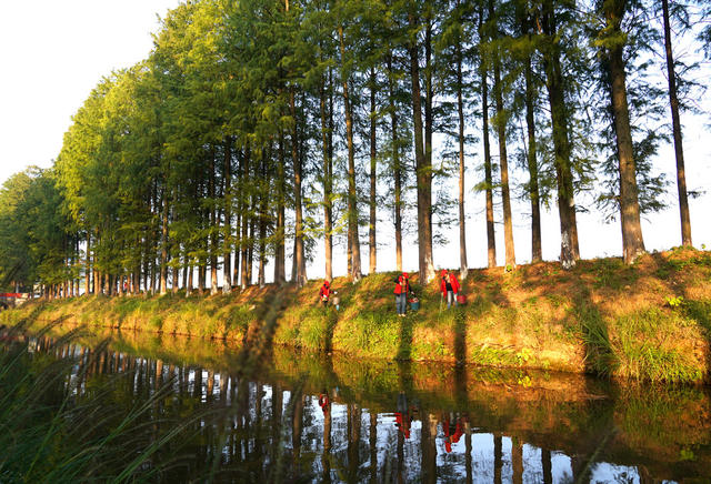 绿水  青山  河流  河长制 湖长制
美丽家园