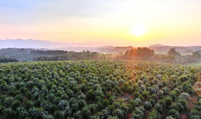 湖南  常宁  乡村  美景
