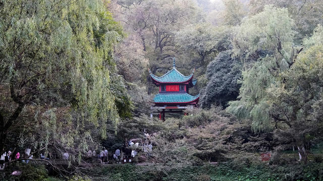 爱晚亭，游人如织