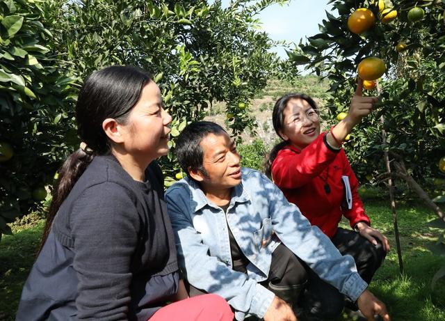 带着妈妈驻村的“第一书记”