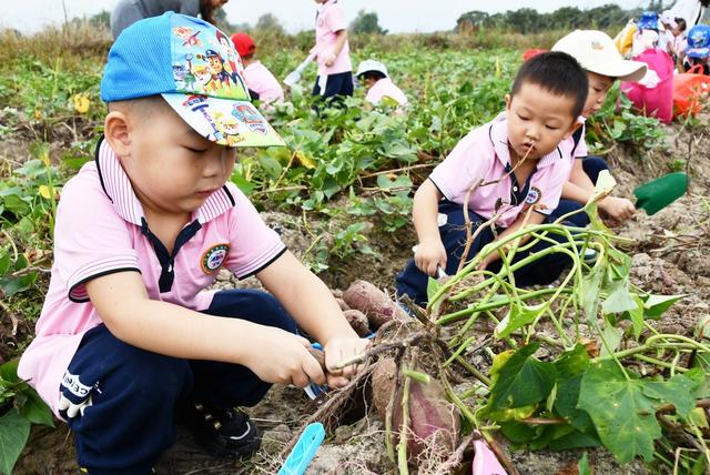 感受  劳动  乐趣