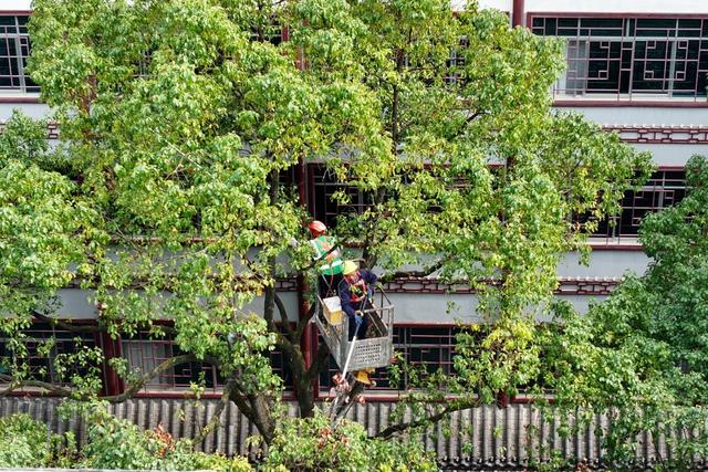 市容、环境整治、人居环境、施工、园林