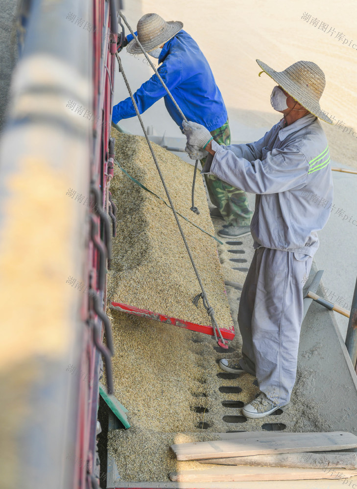 粮库
收购
储存
卖粮
