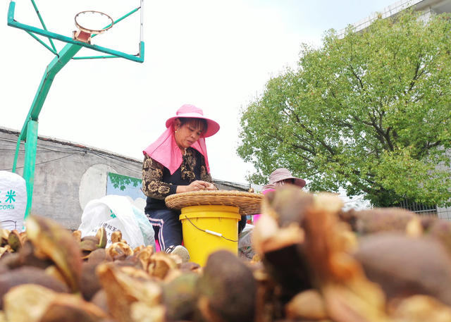 嘉禾：特色产业助增收