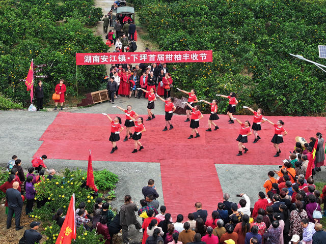 橙黄柚香庆丰收