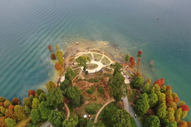 资兴 东江湖 白廊 水杉 山水画卷