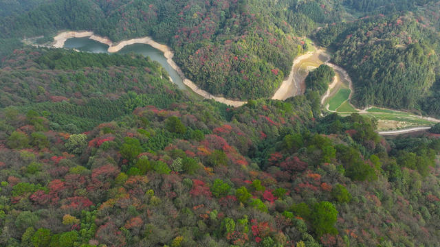 秋天、秋景、林业、生态、林地
