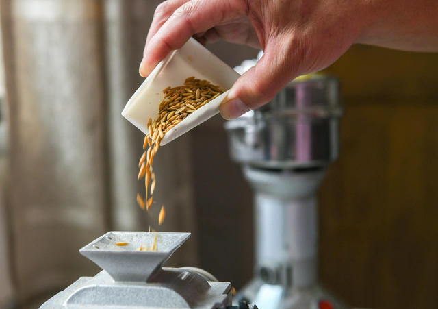 粮库
收购
卖粮
收粮
