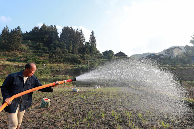 抗旱保种 排忧解难“稻油”轮作“冬闲田”“产业田”