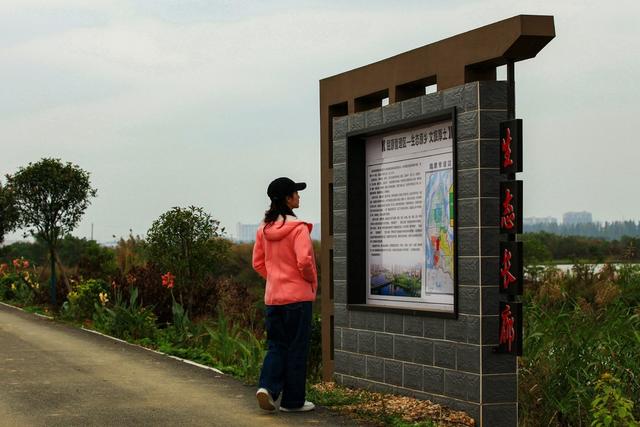 东古湖，越冬候鸟，爱鸟护鸟，守护家园