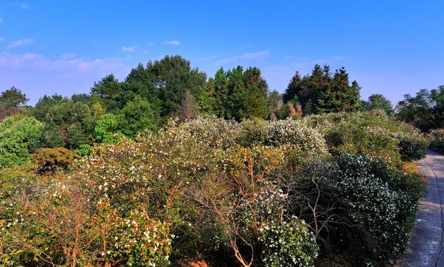 湖南  常宁  乡村  美景