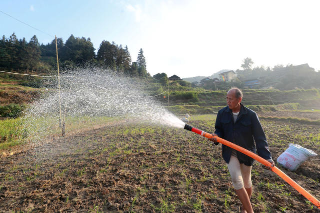 抗旱保种 排忧解难“稻油”轮作“冬闲田”“产业田”