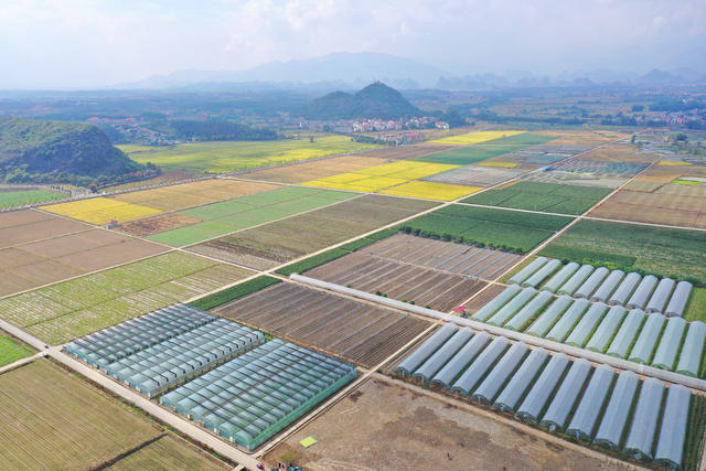 农业 产业 乡村美