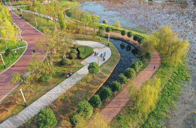 口袋 公园 惠民