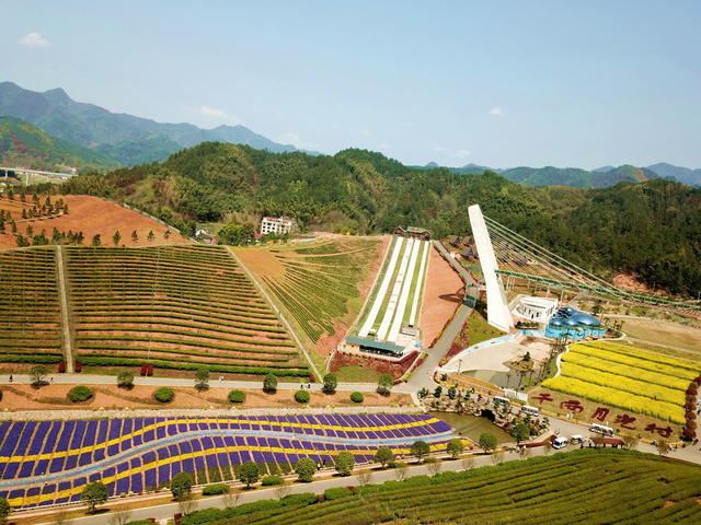 安化口茶乡花海囗壮美