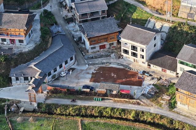 油茶、生产、加工、乡村产业、车间