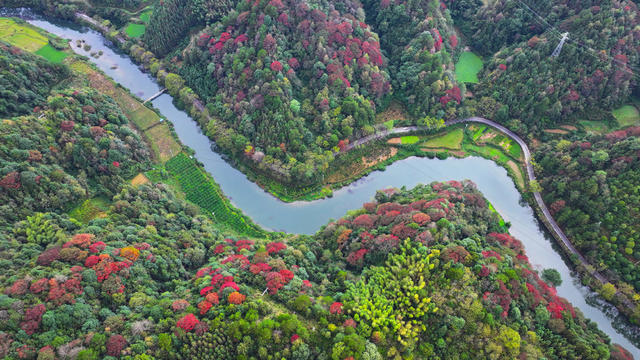 秋天、秋景、山林、秋色、乡村