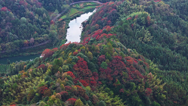 秋天、秋景、山林、秋色、乡村