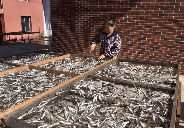 立冬  节气  鱼干  就业  农民  增收 合作社  农事忙