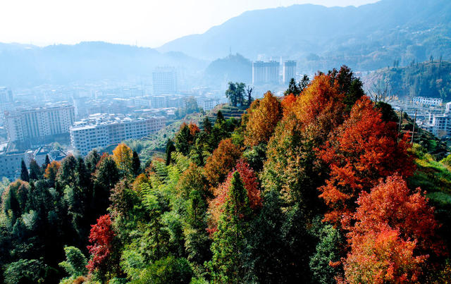 湖南桂东 森林 城市 彩  生态画卷 层林尽染