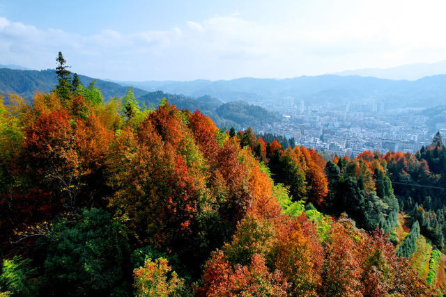 湖南桂东 森林 城市 彩  生态画卷 层林尽染