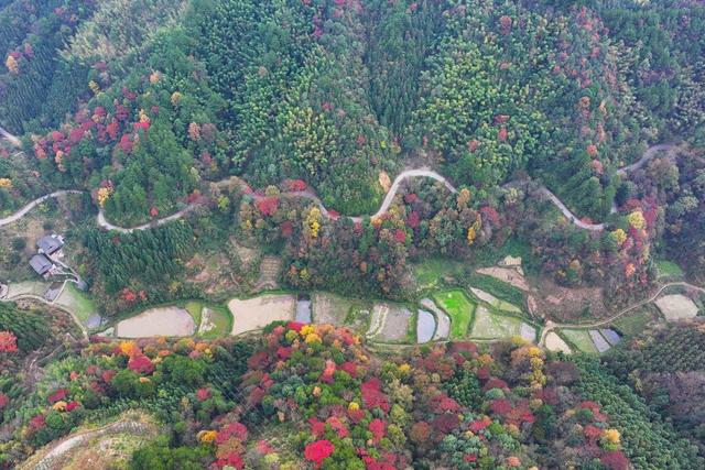 乡村公路、交通、通村路、通组路、冬景