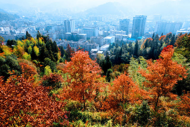 湖南桂东 森林 城市 彩  生态画卷 层林尽染