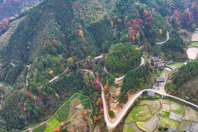 乡村公路、交通、通村路、通组路、冬景