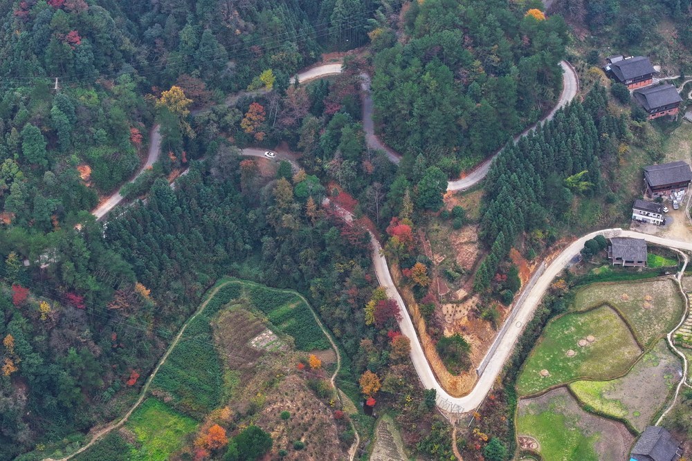 乡村公路、交通、通村路、通组路、冬景