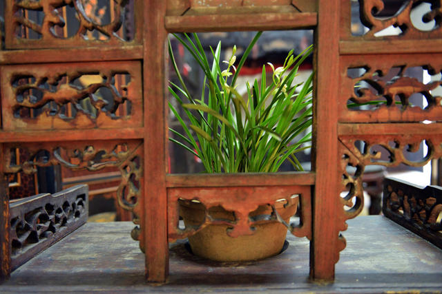 老民居 清朝 四合院 