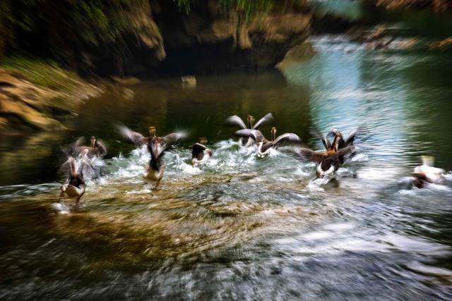 我的2023   九次往返伏溪  聚焦山水田原乡愁乡韵