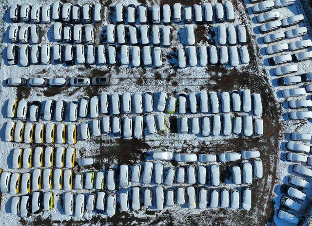 雪 韵 南方 小鸟 梅花 美景