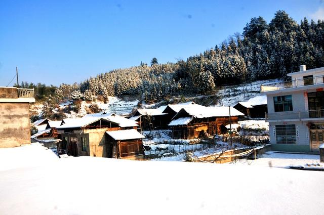 田野 雪白 村庄