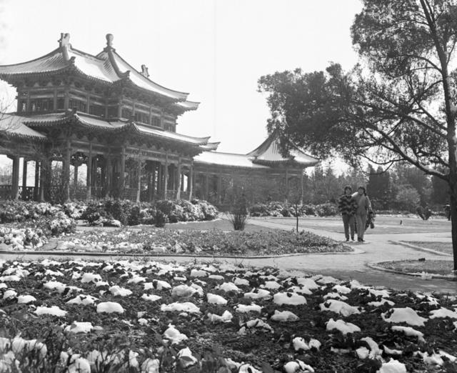 烈士公园  长沙雪景