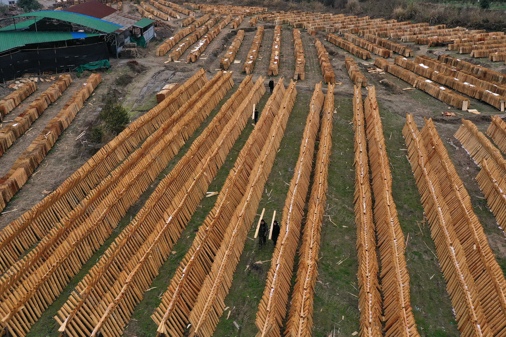 木材 产业 加工 党建 引领 发展 农民 增收 乡村振兴
