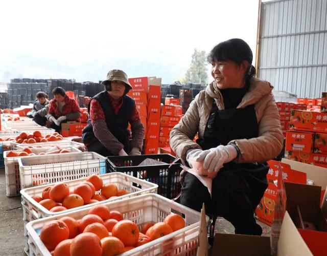   留守妇女家门口就业增收  
