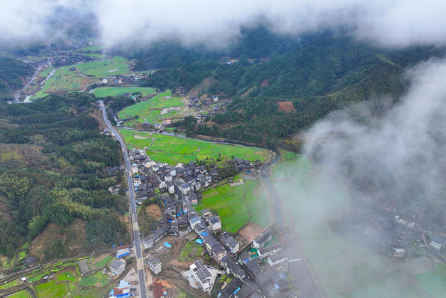 立春、田野、油菜花、春天、农业