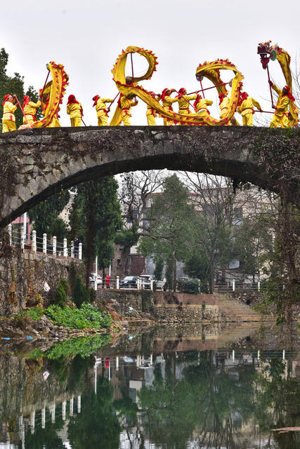 嘉禾：舞龙迎新春