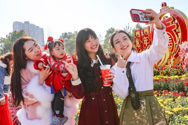 临武县--花团锦簇庆新年