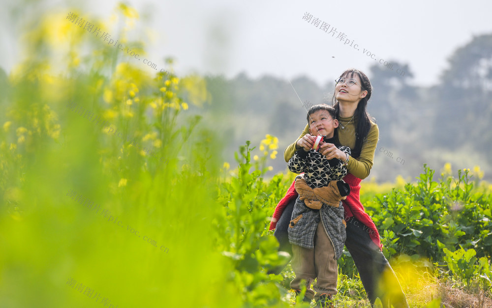 油菜花海
道县
春节
节日