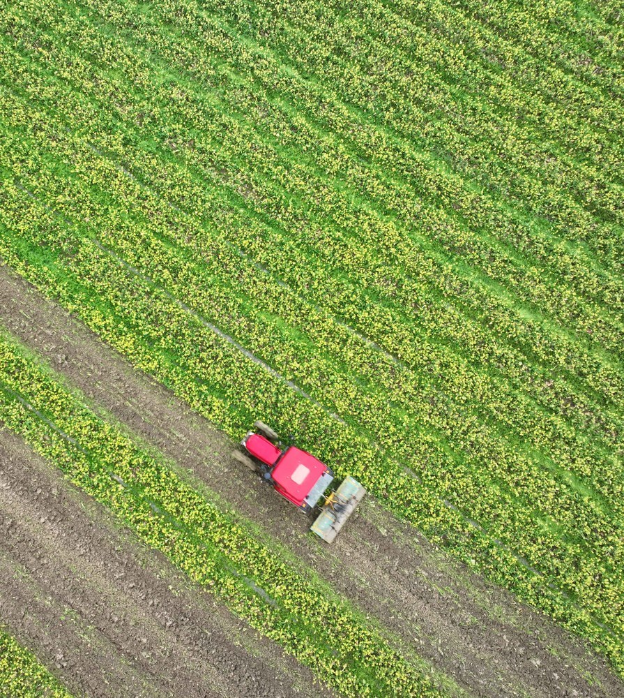 农业
春早
翻耕
春耕
道县