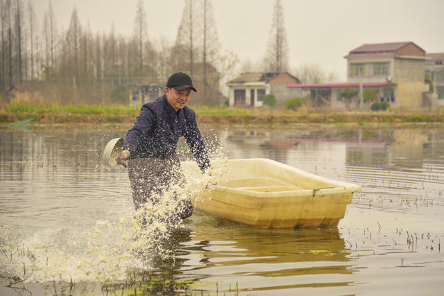 龙虾
春管  春耕   春天   水   虾   农   农业
