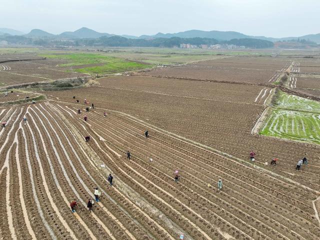 田 园
道县
春耕
备耕