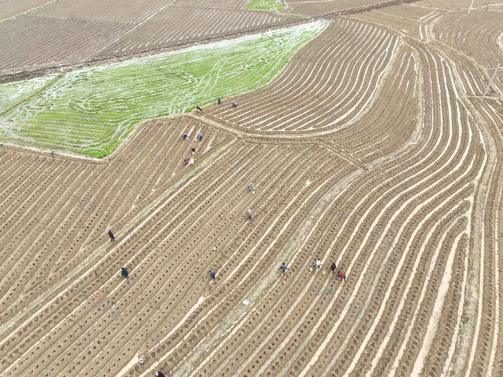 田 园
道县
春耕
备耕