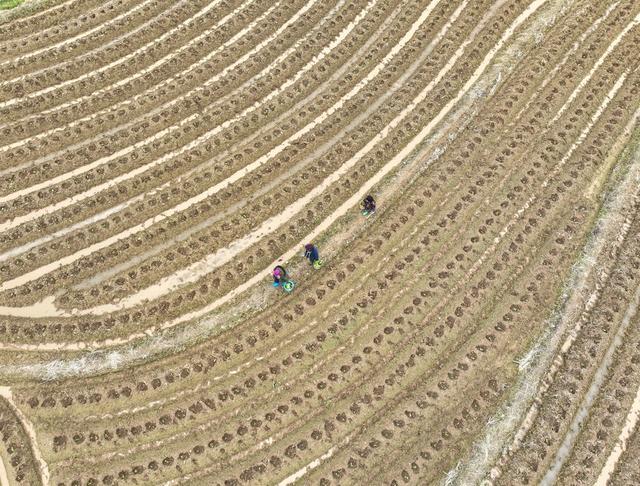 田 园
道县
春耕
备耕