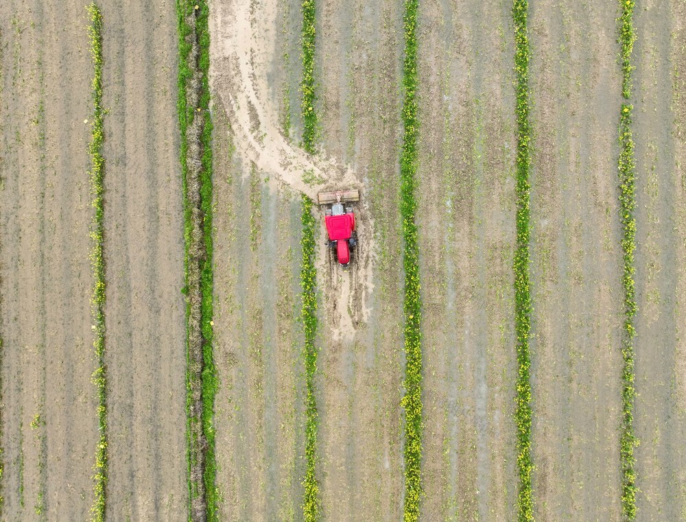 春耕
田园
农事
道县