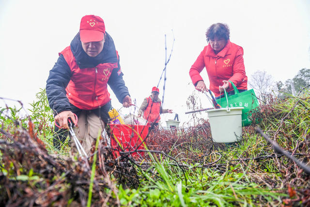 雷锋
志愿活动
义剪
义诊
