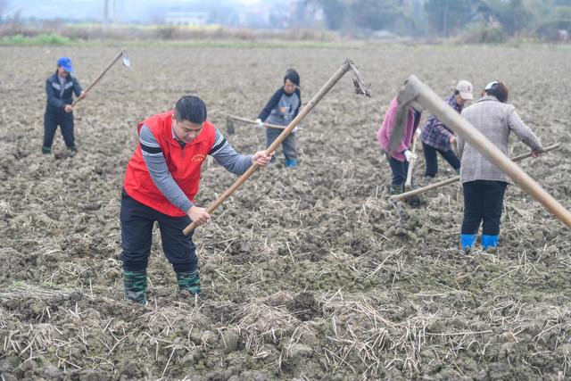 驻村工作队
乡村振兴
增收
道县
