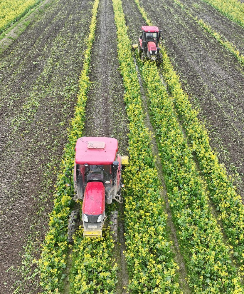 春耕
粮食生产
早稻
道县